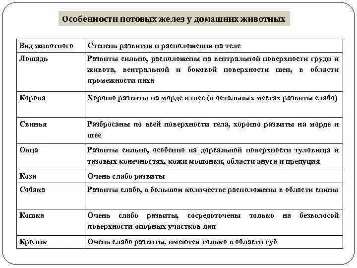 Строение и функции производных кожи. Кожа; строение, функции. Производные кожи. Производные кожи особенности строения функции. Строение и функции кожи. Кожа и её производные.. Функции кожи таблица.