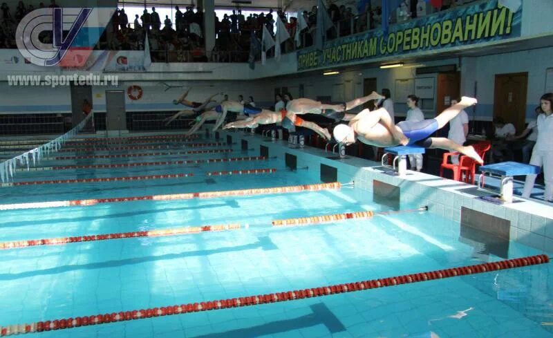 Госпитальная набережная, 4с1а. Соревнования по плаванию колледж. Ск мгту им баумана бассейн. Плавать в бассейне. Бассейн мгту расписание.