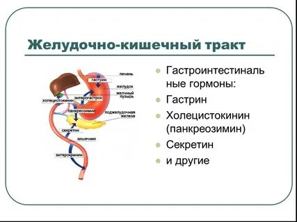 Секретин и холецистокинин