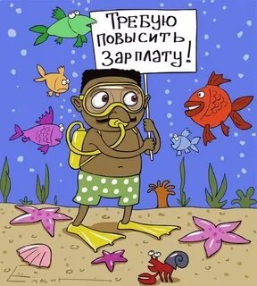 На дне картинки смешные