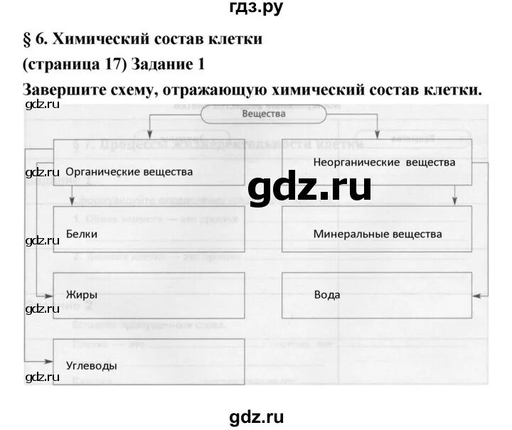 Биология 5 класс параграф 21 взаимосвязи