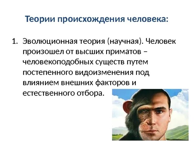 Идеи естественного человека. Теории и гипотезы происхождения человека. теории возникновения человека кратко. 3 основные теории происхождения человека. научная теория происхождения человека.