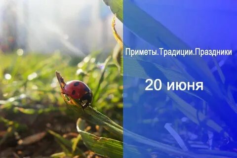 Приметы на 20 октября 2024 года