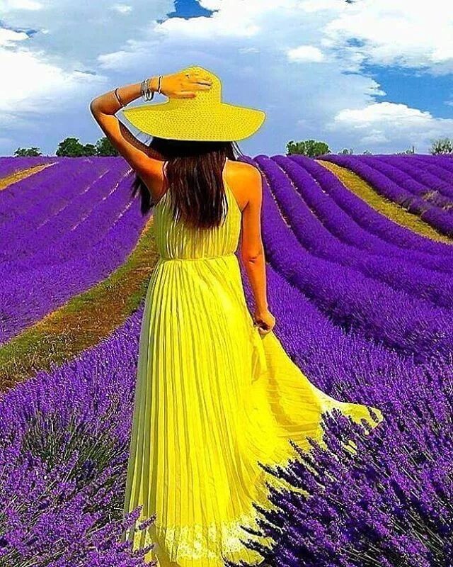 Картинки желтое фиолетовое. Лавандовое поле. Фиолетовый и желтый. Фотосессия в фиолетовом поле. Девушка в лавандовом поле.