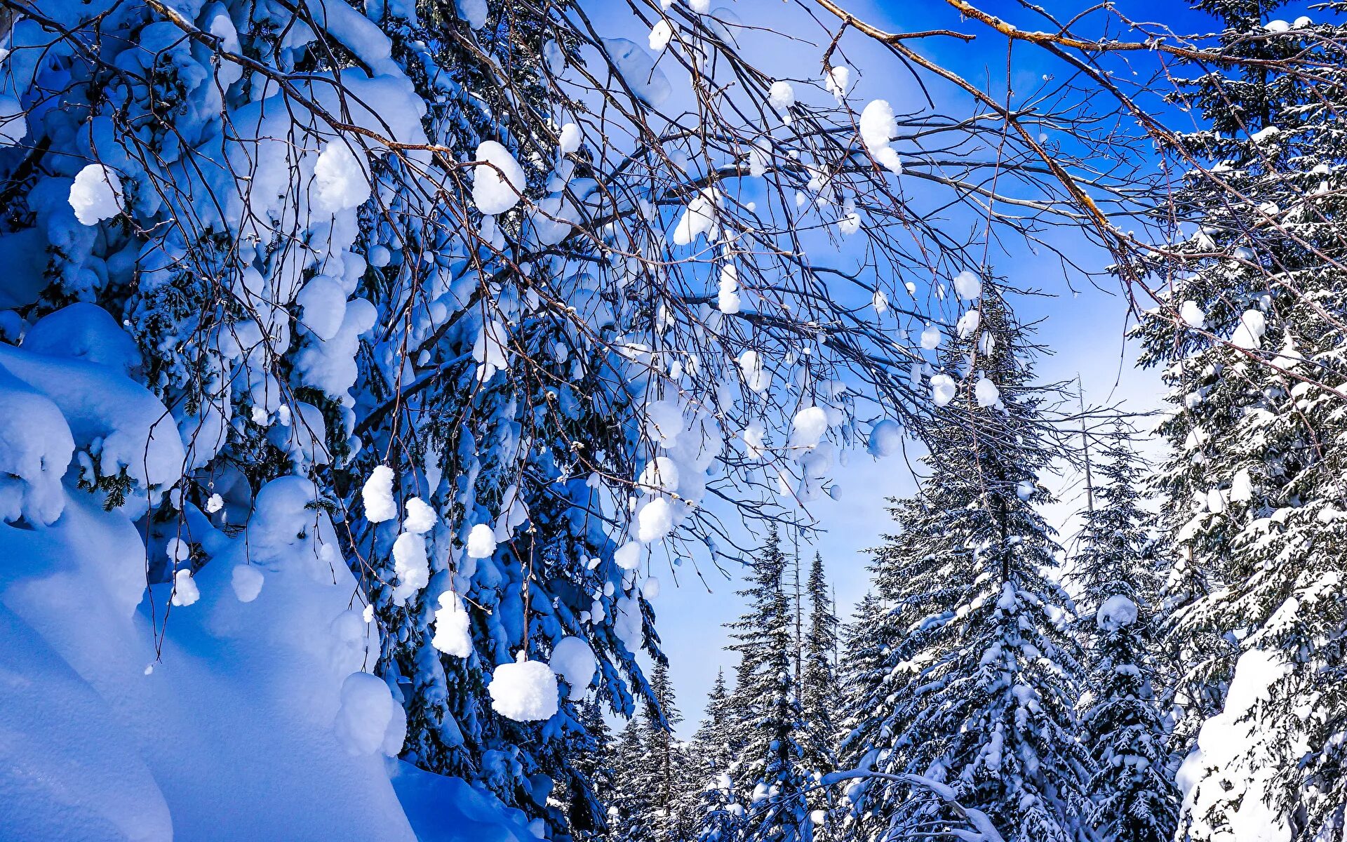 Зимние картинки. Зима снег. Красота зимы. Февраль природа. Красивая Снежная зима.