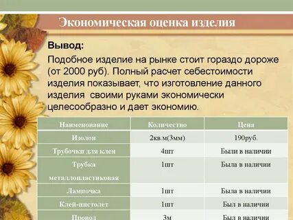 Экономическая оценка проекта