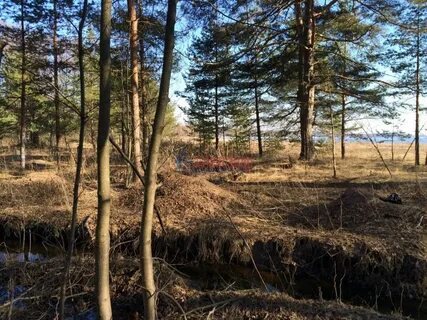 Участки в приморском
