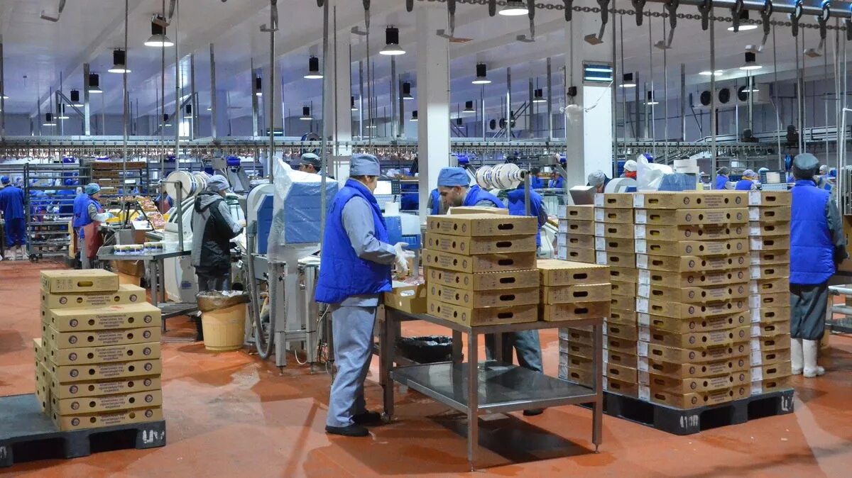 современный цех. современный завод. продукции компаний заводов. производство молока. алексеевка белгородская область эфко.