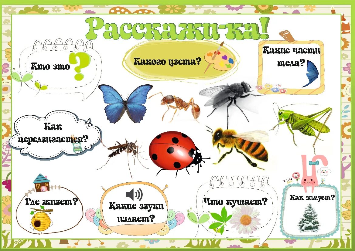 Тема насекомые в 1 младшей группе. Насекомые для ДОШКОЛЬНИКЛ. Насекомые задания для дошкольников. Карточки для детей. Насекомые. Насекомые летом для дошкольников.