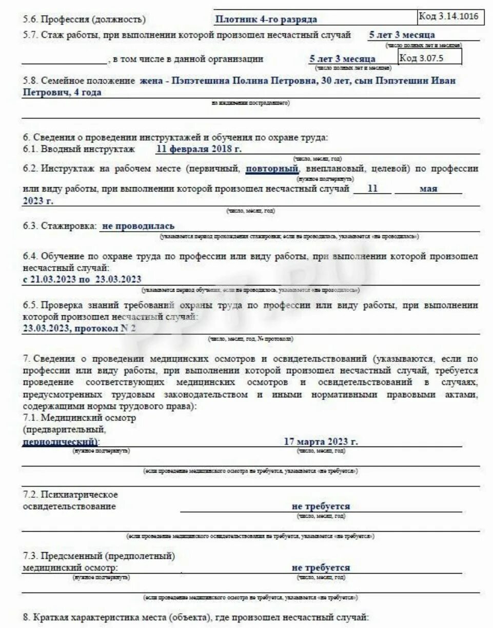 Как заполнить акт формы н 1. Акт н1 о несчастном случае на производстве. что такое статус занятости в акте о несчастном случае на производстве. акт о несчастном случае на производстве форма н-1 2025. статус занятости в акте н-1.