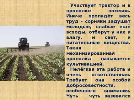 Трактористы сочинение