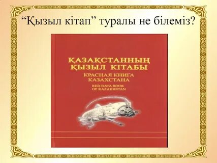 Кызыл казахский