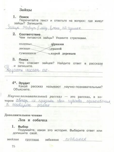 Перечитай текст какой может быть фея