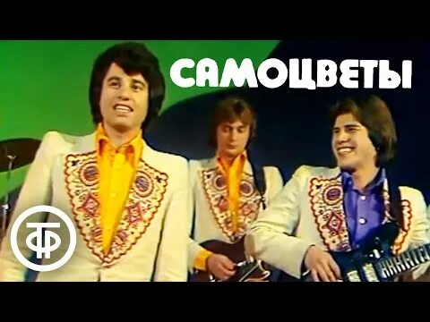 ВИА Самоцветы состав 1973. ВИА Самоцветы 1971. ВИА Самоцветы 2022. Самоцветы группа 70.