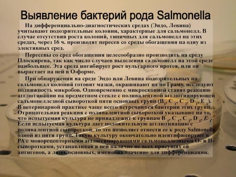 При какой температуре умирает сальмонелла. При какой температуре умирает сальмонелла