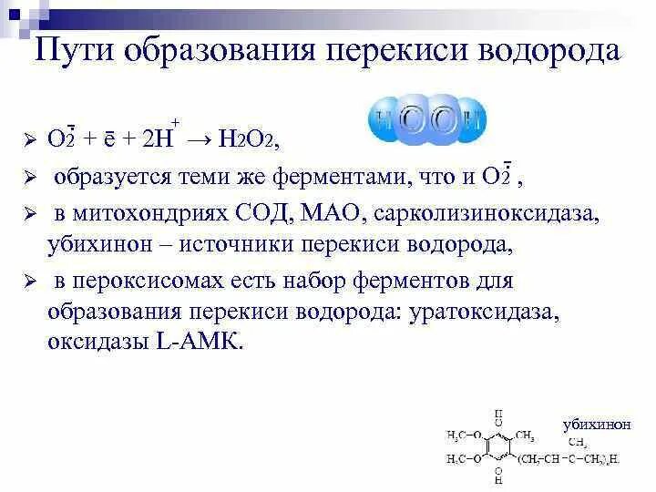 Реакции образования связи с с. Пути образования пероксида водорода. Реакция образования пероксида. Механизм образования пероксида водорода. Образование пероксида водорода в организме.