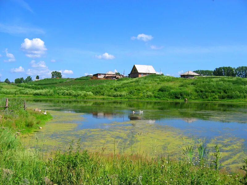 родной дом новосибирск. мой дом моя деревня. родной дом новосибирск. родной дом новосибирск. деревенский домик.