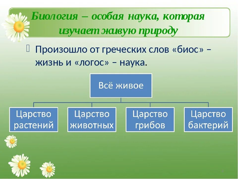 Урок биологии текст. Науки изучающие живую природу. Биология наука о живой природе. Что изучает биология 3 класс. Наука изучающая живую природу 3 класс.