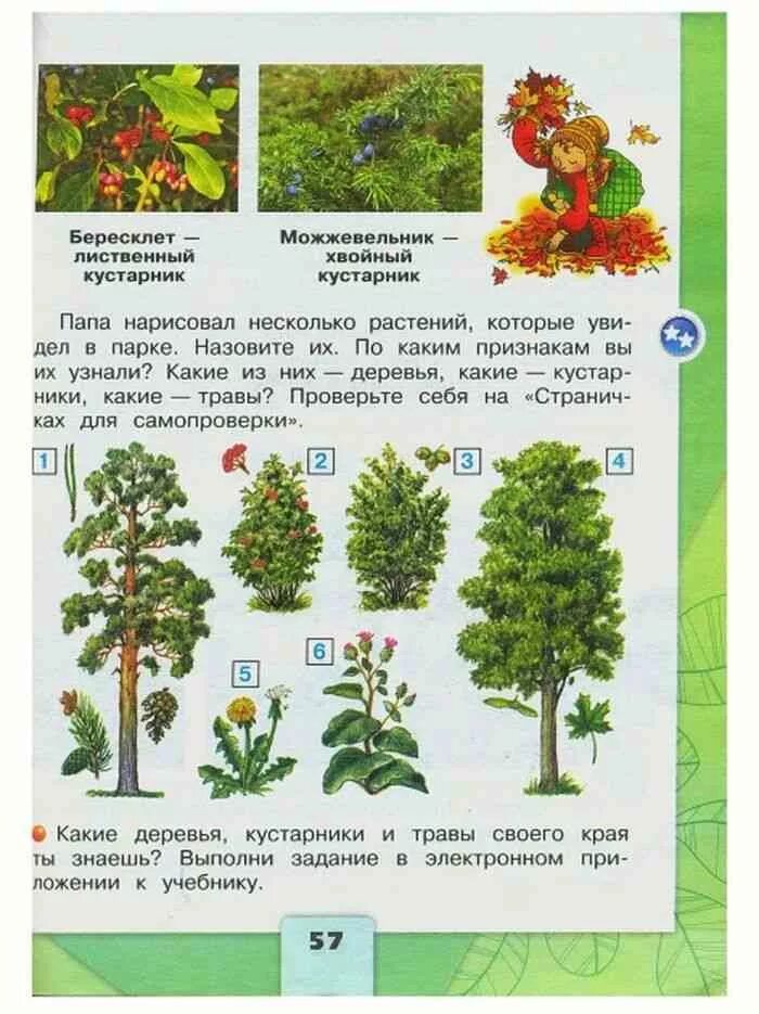Какие 2 класса