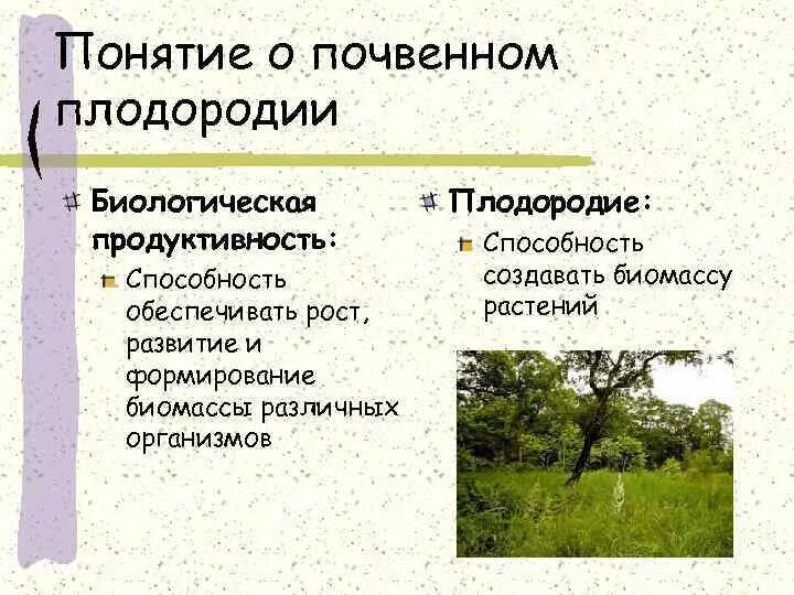 Понятие о почвенном плодородии. Понятие плодородие почвы. Понятие о почве. Понятие о почве и ее плодородии кратко.