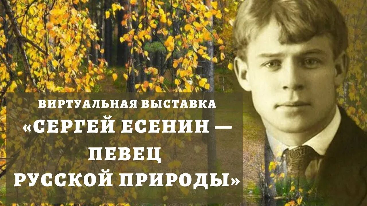 Есенин цветы. Произведения Сергея Александровича Есенина.