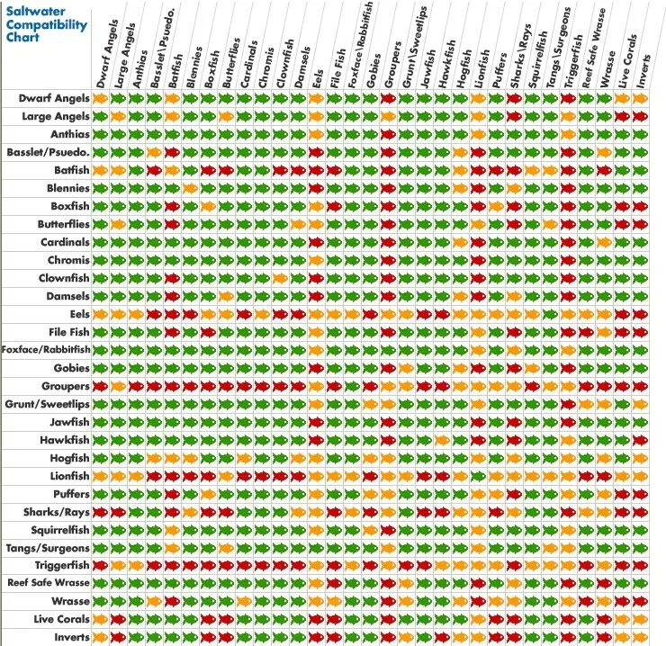 Таблица совместимости аквариумных рыбок. Совмещение аквариумных рыбок таблица. Совместимость рыбок в одном аквариуме таблица. Таблица совместимости креветок с аквариумными рыбками. Петухи рыбы совместимость
