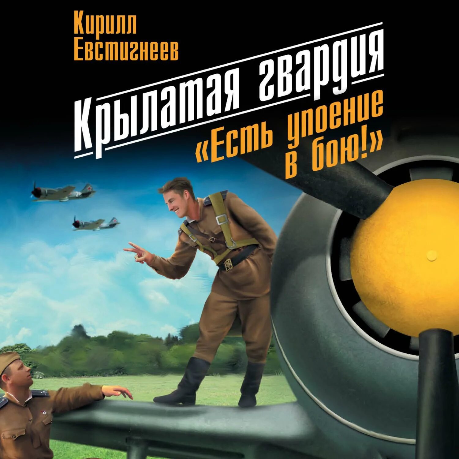 Асы против. Крылатая гвардия. Книга Крылатая гвардия. Естигнеев Крылатая гвардия. Крылатая гвардия ансамбль.