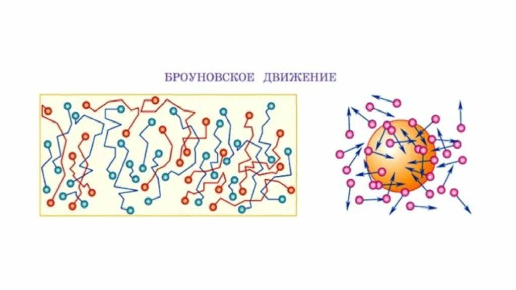 Эксперимент Брауна броуновское движение. Броун броуновское движение. Опыт Броуна броуновское движение. Движение броуна