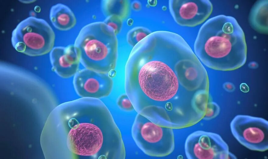 Генная инженерия микроорганизмов. Кроветворные стволовые клетки 3d. Стволовые клетки под микроскопом. Нейронная клетка искусственная. Создана первая синтетическая бактериальная клетка.