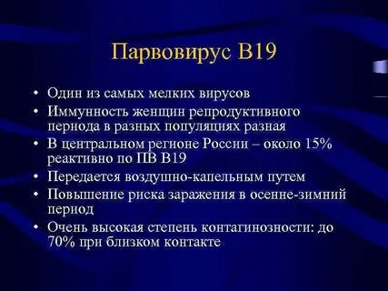 Инфекция б 19