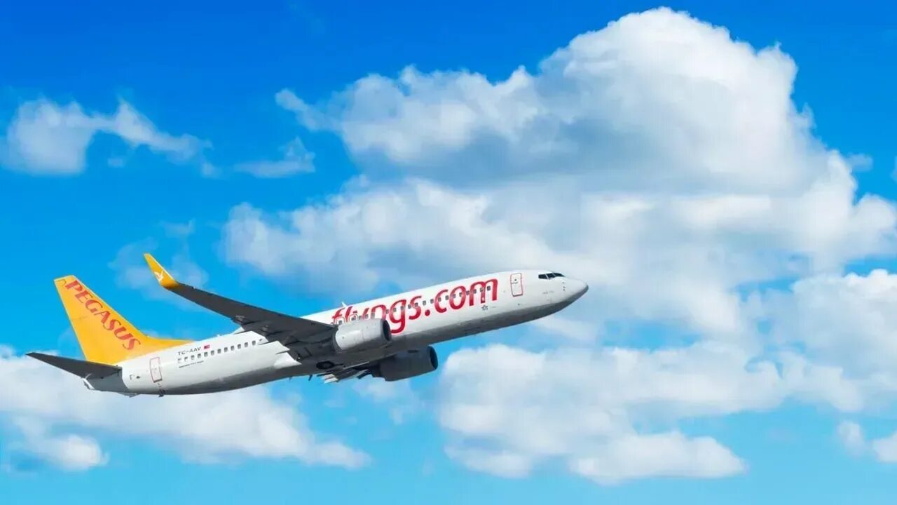 Pegasus airlines зарегистрироваться. Авиакомпания пегасус эйрлайнс. pegasus airlines самолеты. авиакомпания pegasus airlines логотип. самолет пегасус в небе.