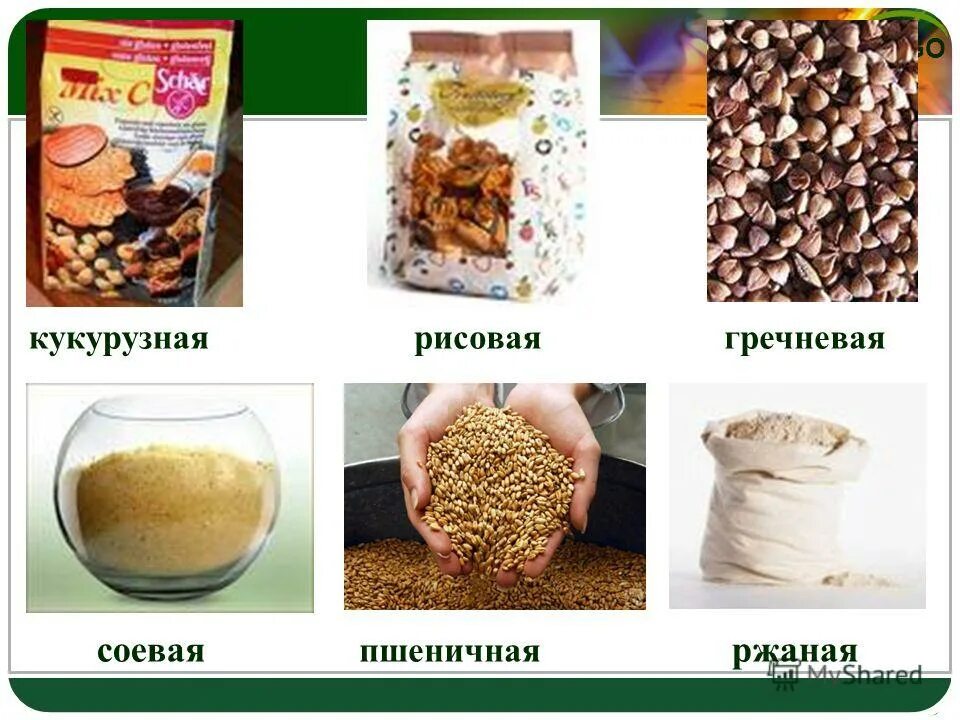 соя презентация. бобовые сельскохозяйственные культуры. перспективы освоения дальнего востока. соя презентация. технические культуры.