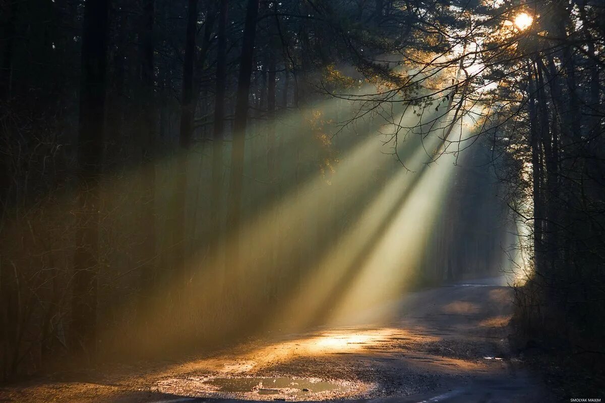 Сериал сверхъестественное сэм. Сериал герой 1 сезон 3. Све про. Дин и сэм винчестеры. Сверхъестественное 10 сезон 7 серия.