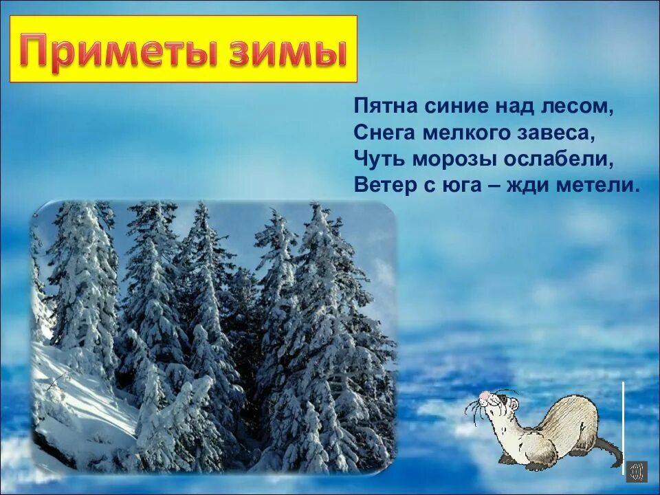 Приметы на зимнюю тему. 2 Зимние приметы. Приметы из зимнего леса. Приметы зимнего леса для детей. Приметы из зимы 2 класс.