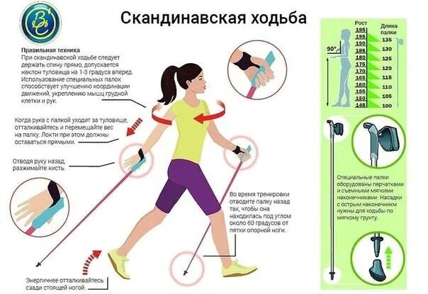 Скандинавская польза вред. Техника скандинавской ходьбы для начинающих с палками. Скандинавская ходьба с палками техника ходьбы для похудения. Техника скандинавской ходьбы для начинающих с палками для похудения. Финская ходьба с палками техника для похудения.