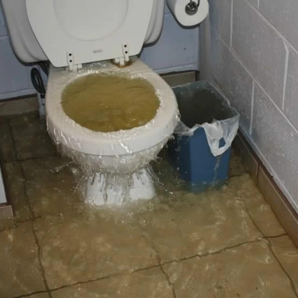 Почему туалет называют wc. Почему туалет называют wc
