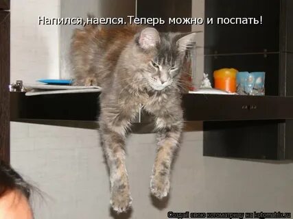 Наелся напился