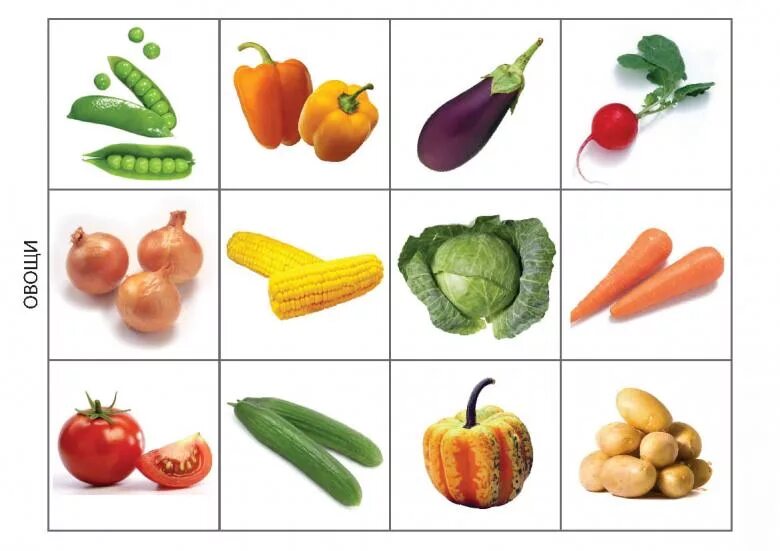 Овощи для ребенка 2 года. Овощи для детей. Карточки с изображением фруктов и овощей. Овощи для дошкольников. Карточки овощи для детей.