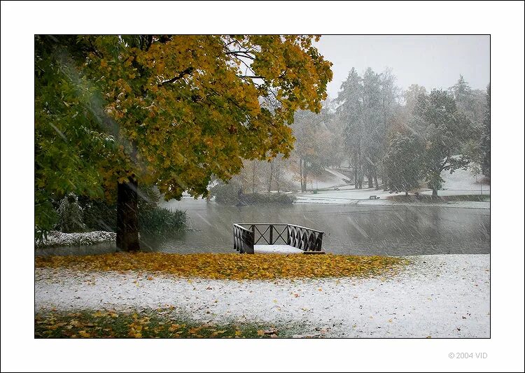 Юта жили были клип. Юта когда настанут холода. Юта когда настанут холода слушать. Стих про стужу. Настанут холода осыпятся листы и будет льдом.