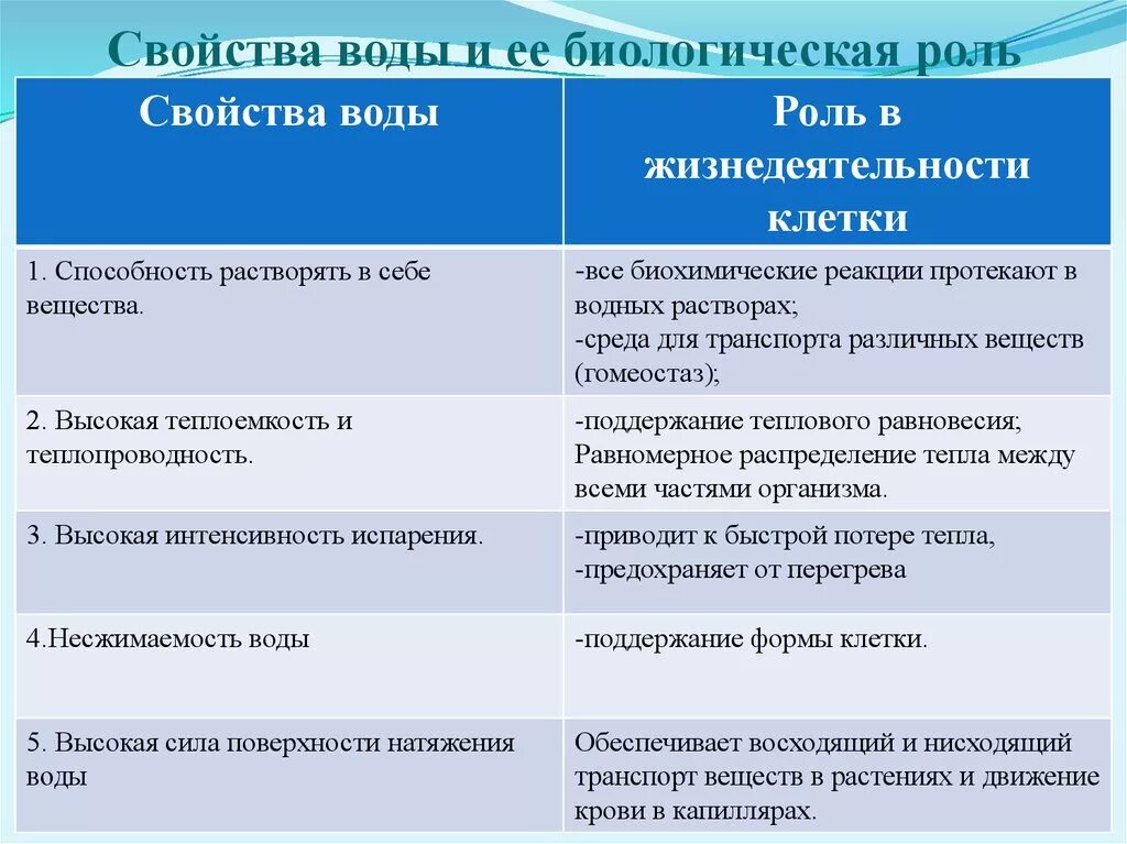 Какова функция воды. Свойства воды и ее биологическая роль таблица. Роль воды в жизнедеятельности клетки таблица. Вода и ее роль в жизнедеятельности клетки. Роль воды в жизнедеятельности клетки.