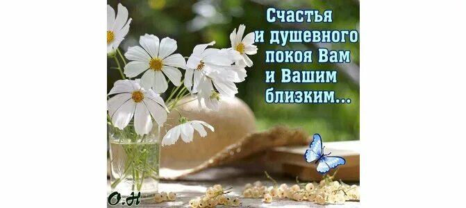 Спокойствия вам и вашим близким. Добра и счастья в ваш дом. Пожелания здоровья и душевного тепла. Счастья и душевного покоя вам и вашим близким. Пожелания счастья и здоровья.