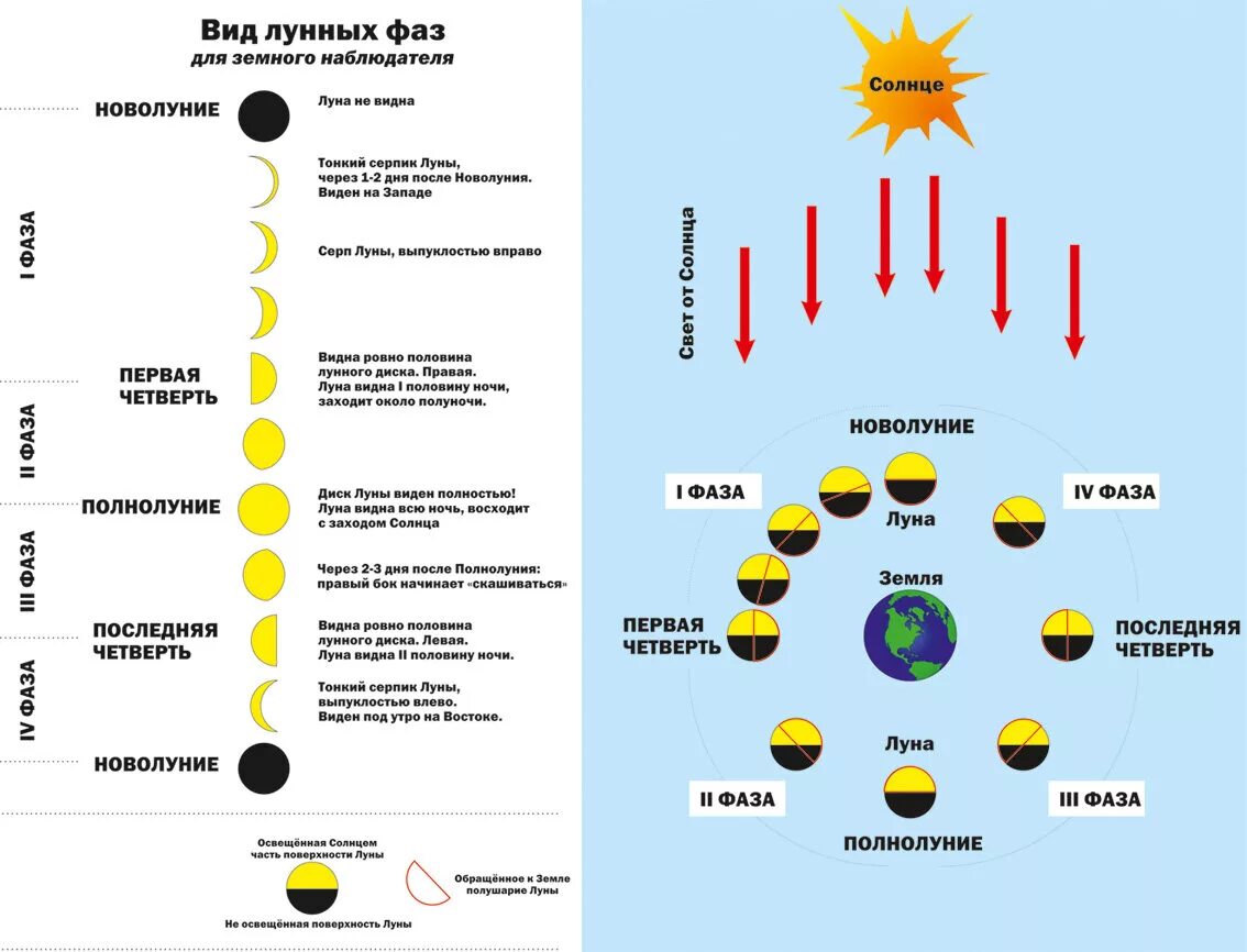 Схема фаз лунного цикла. Полный цикл смены фаз Луны. Схема растущей и убывающей Луны. Виды Луны и названия фазы Луны таблица. Первый день новолуния