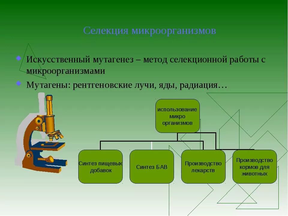 селекция микроорганизмов. селекция микроорганизмов биотехнология. селекция инструментов. селекция растений таблица микроорганизмов. методы селекции микроорганизмов.