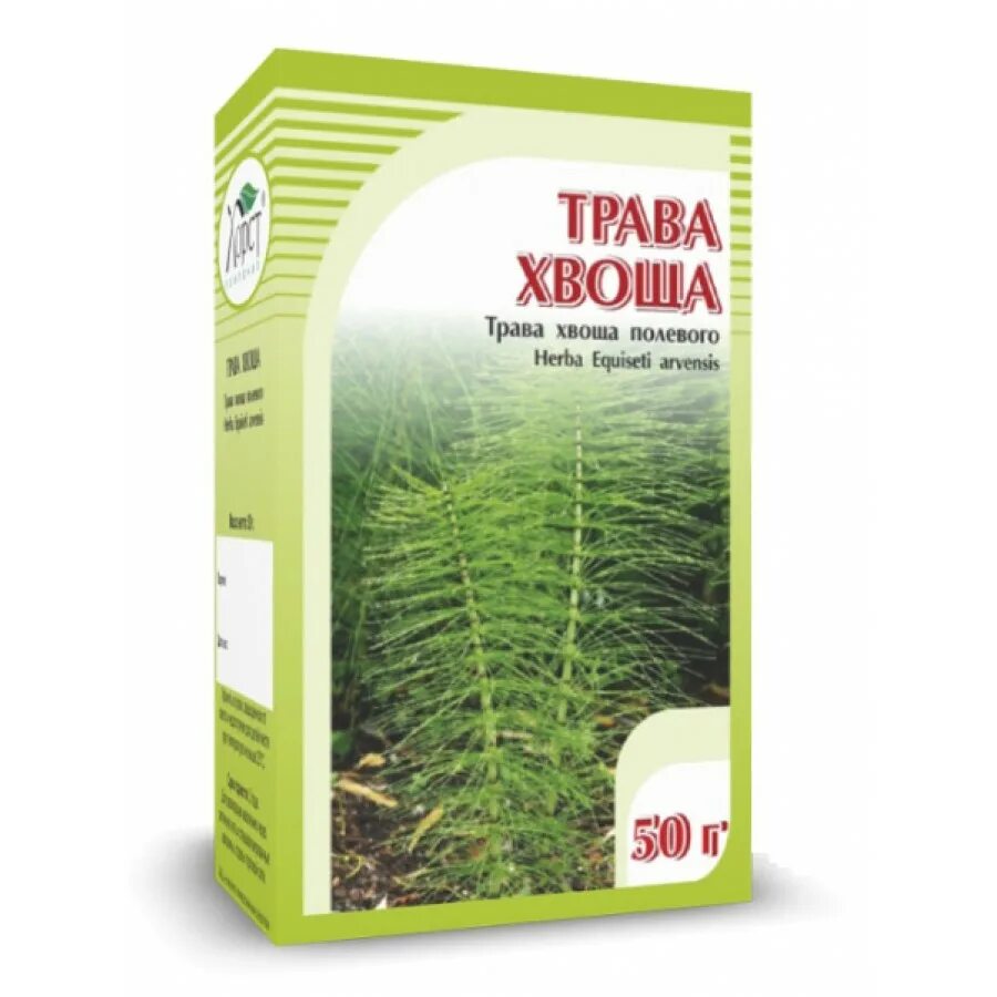 Хорст трава хвоща 50 г. Хвощ полевой трава 50г. Хвощ (трава), 50 гр.. Хвощ полевой трава 50 гр. Хвощ полевой инструкция по применению лечебные свойства