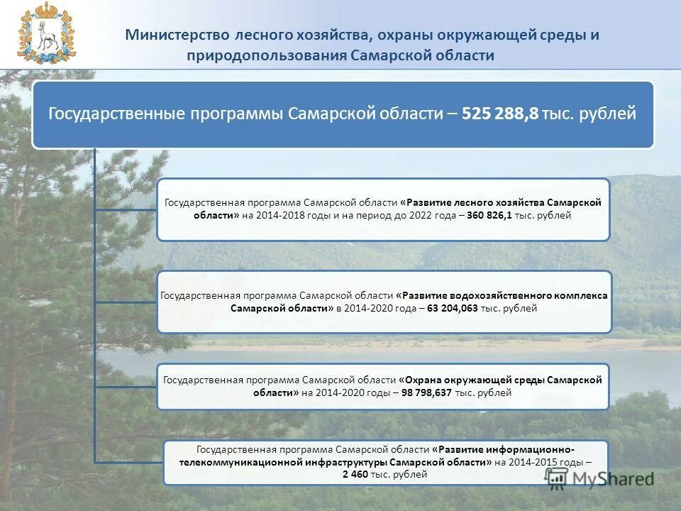 государственная программа развитие лесного хозяйства