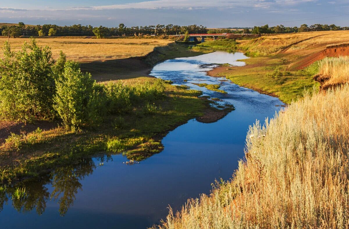 друзья малых рек. малая река. заросшая река. природа малых рек в россии. друзья малых рек.