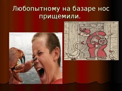 Любопытной варваре на базаре