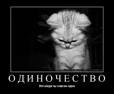 Мне одному совсем не к чему