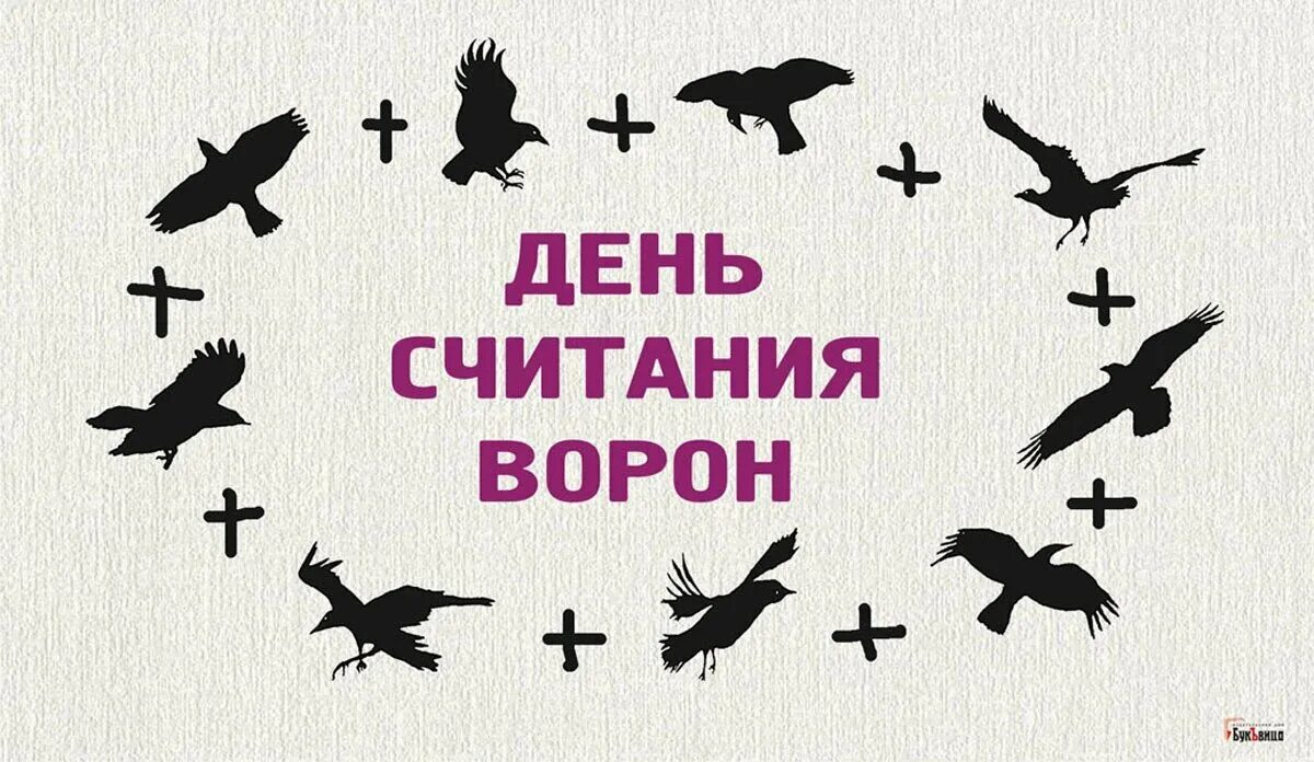 День считания ворон картинки прикольные. День считания ворон. День считания ворон 2.