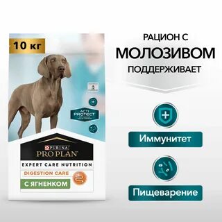 Протекта для собак